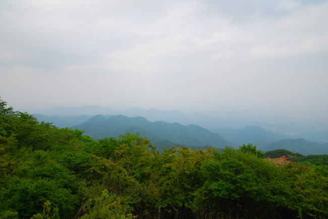 ooyama viewpoint